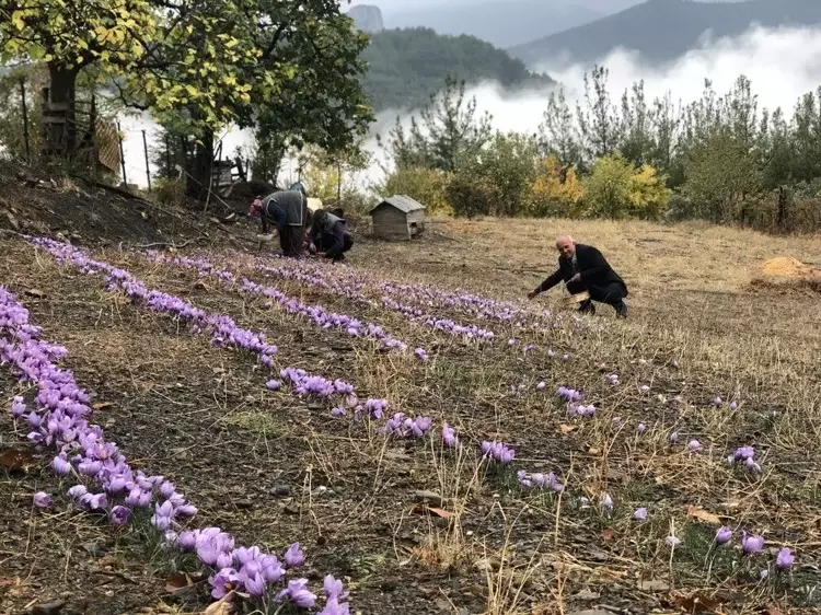 Adana'da üretiyor, Avrupa'ya satıyor! Gram fiyatı 200 liranın üstünde