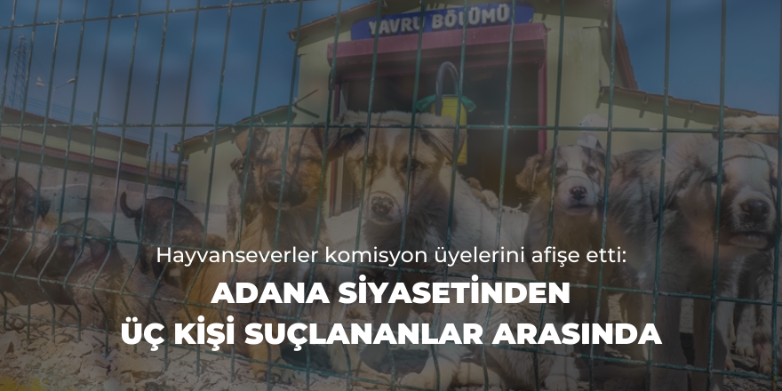 Hayvanseverler komisyon üyelerini afişe etti: Adana siyasetinden üç kişi suçlananlar arasında