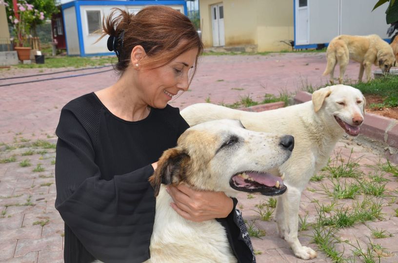 “Ölümden Çözüm Olmaz”