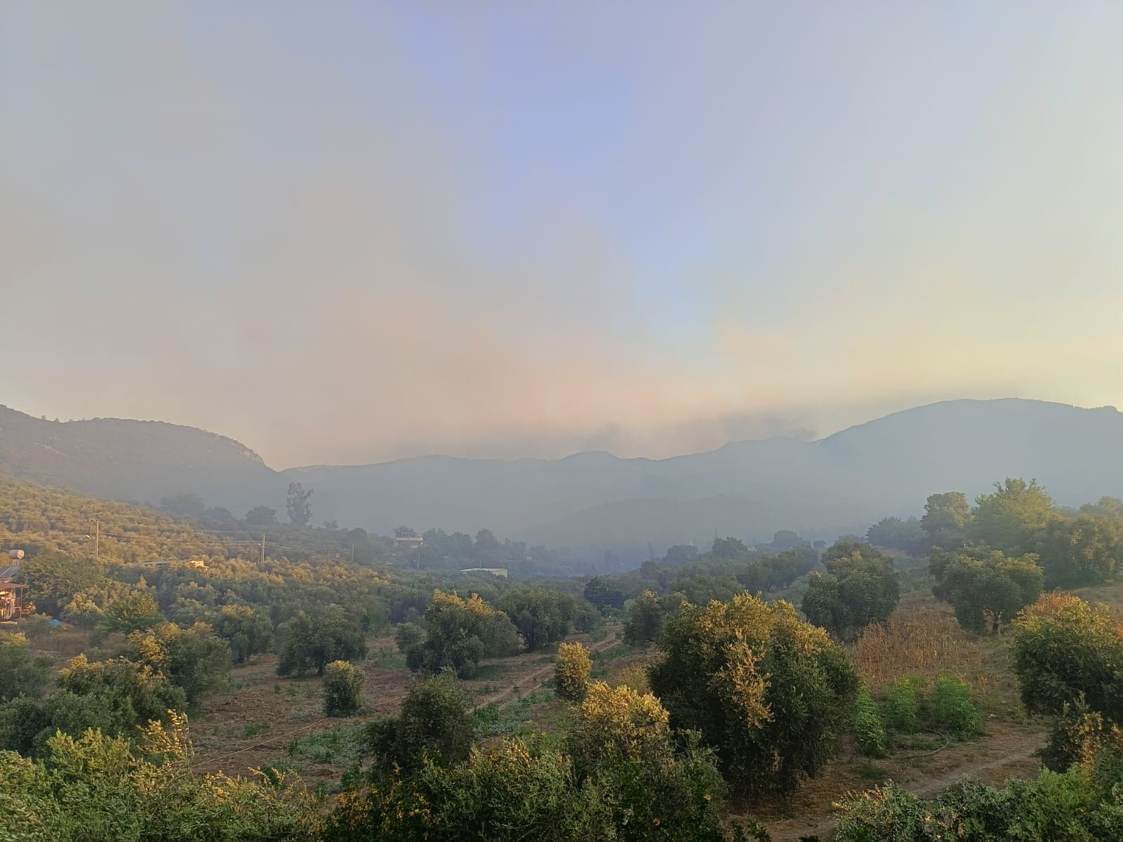 Adana Kozan'da orman yangını