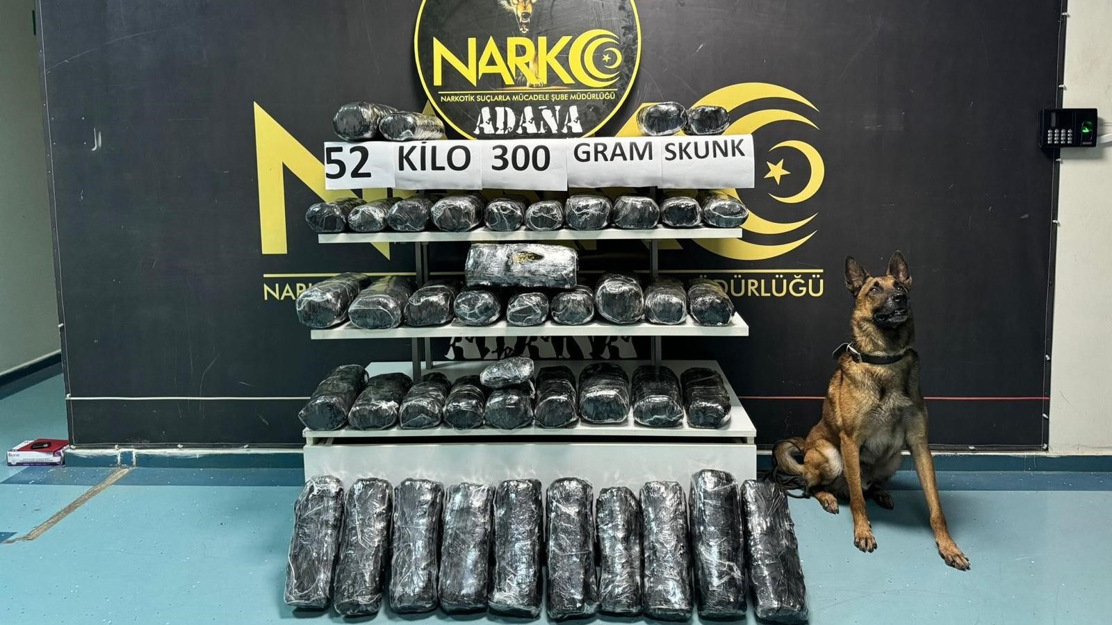 Dedektör köpeği 'Oscar' 52 kilo 300 gram skunk buldu