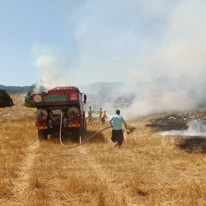 Anız yangını ormana sıçradı, ekipler müdahale ediyor