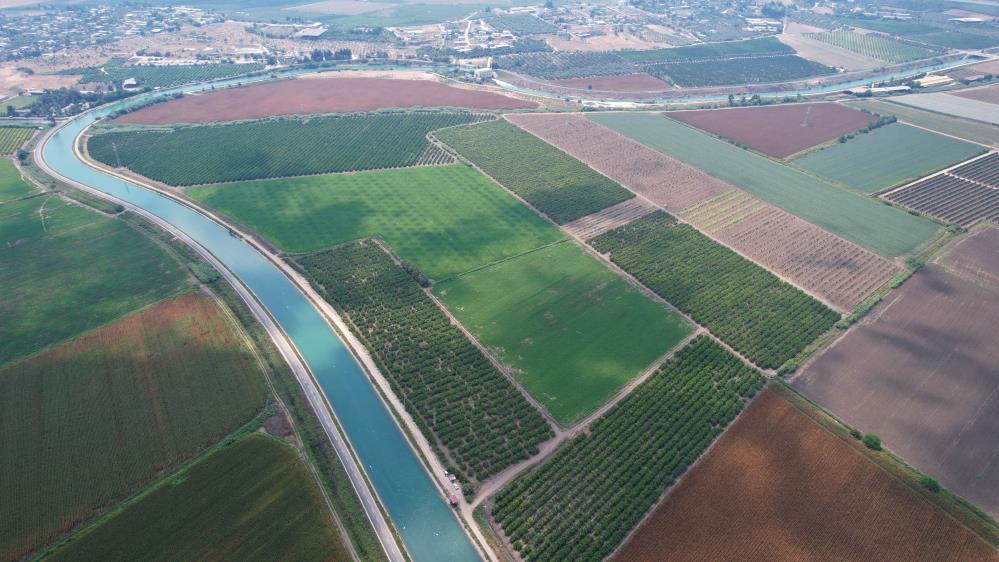 Adana çiftçisine 'su yok, ekim yapmayın' uyarısı