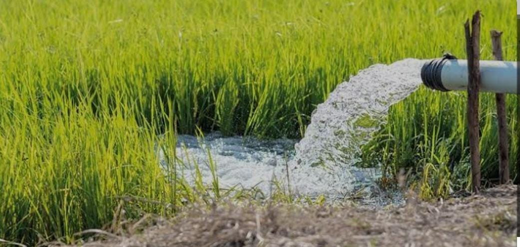 Adana’daki su krizi gıda fiyatlarını vuracak