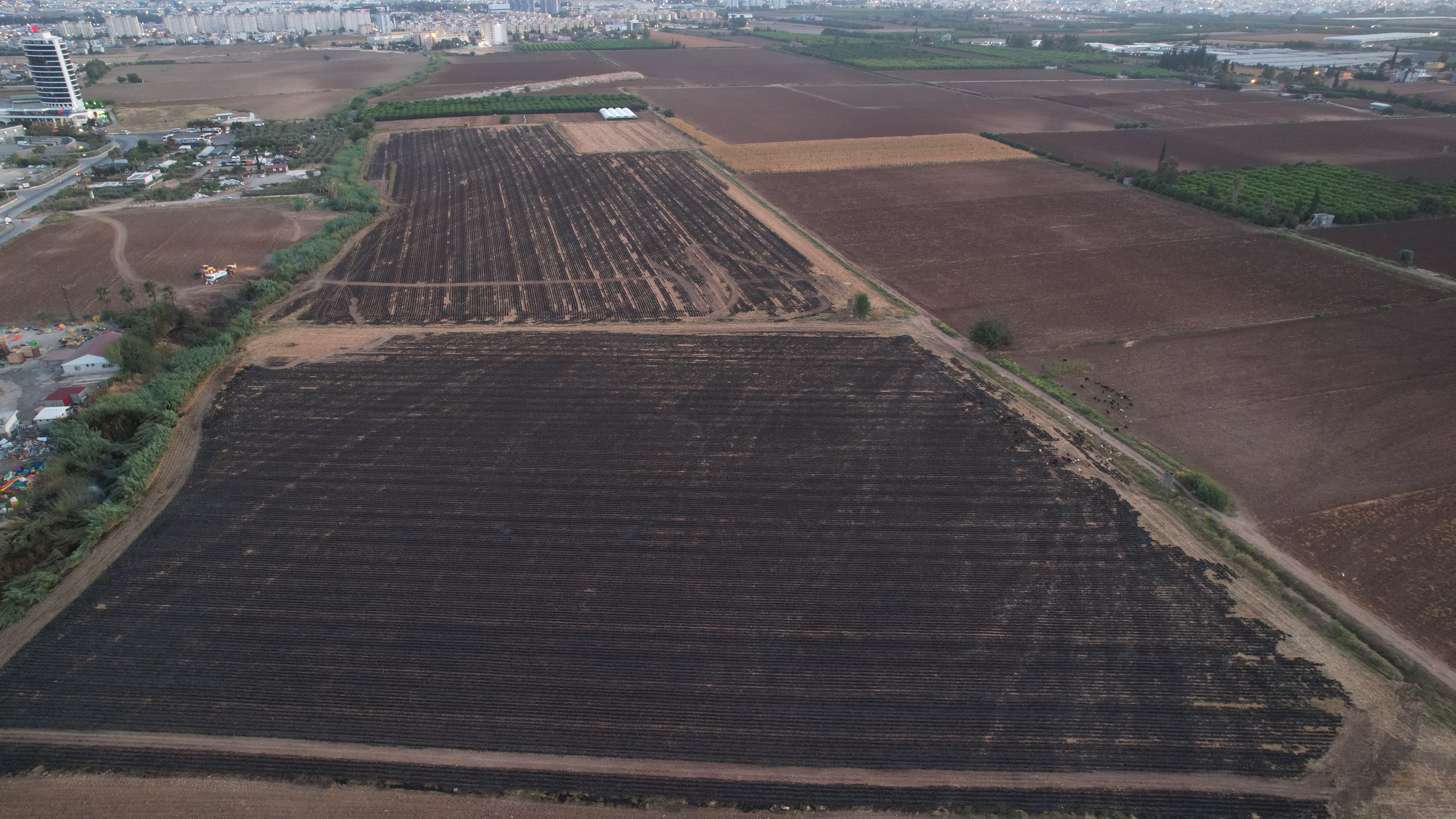 Anız yangını atık deposuna sıçrayınca mahalleler duman altında kaldı