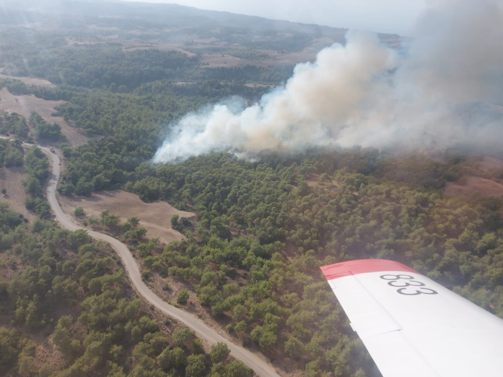 Adana'da çıkan orman yangını kontrol altına alındı