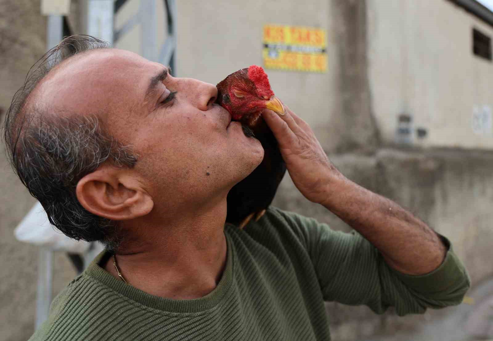 Horoz ve keçileriyle arkadaş oldu