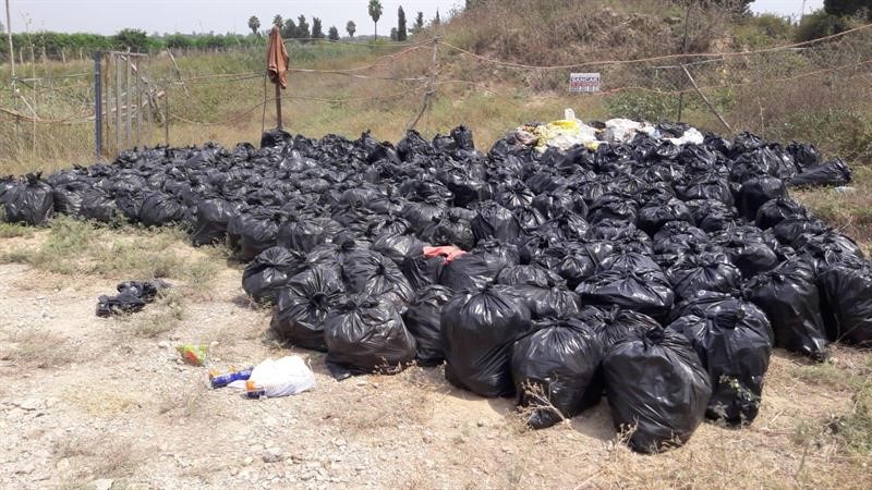 Dökülen ya da ağaçta kalan narenciye Akdeniz Meyve Sineği popülasyonunu artırıyor