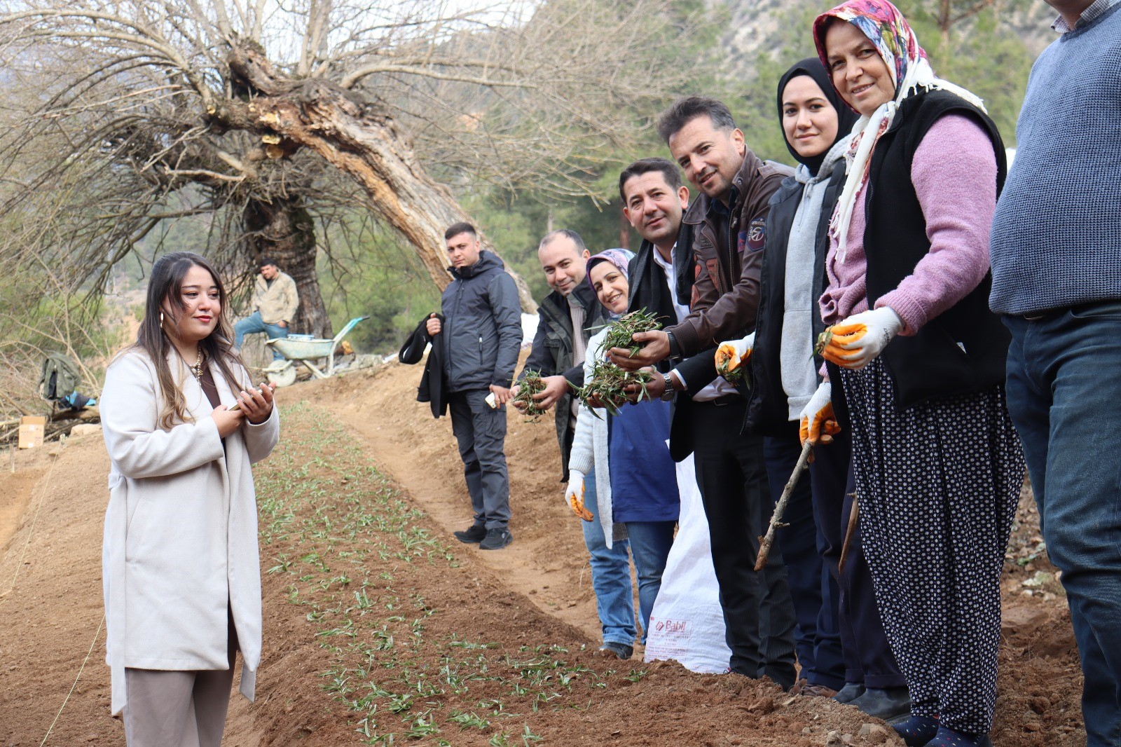 Feke’de sahlep fidanları toprakla buluştu