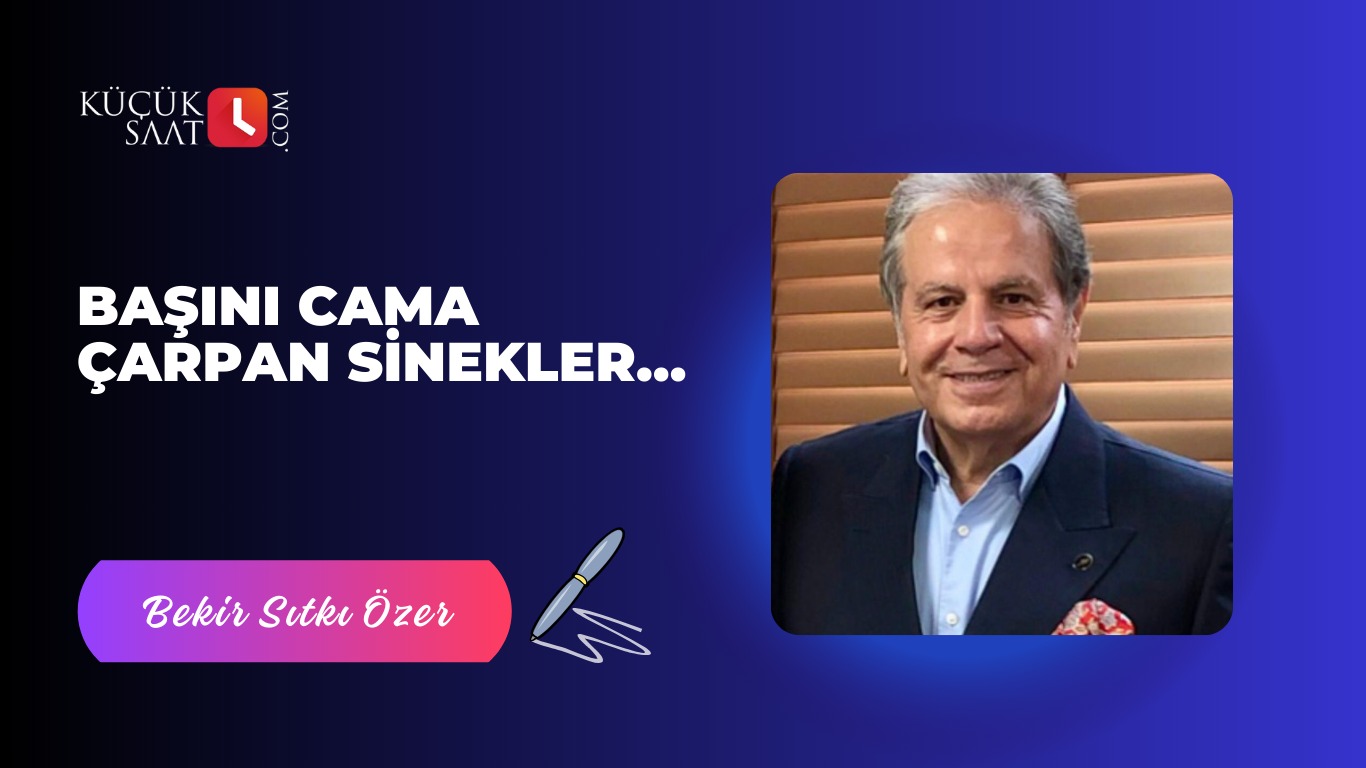 Başını Cama Çarpan Sinekler…