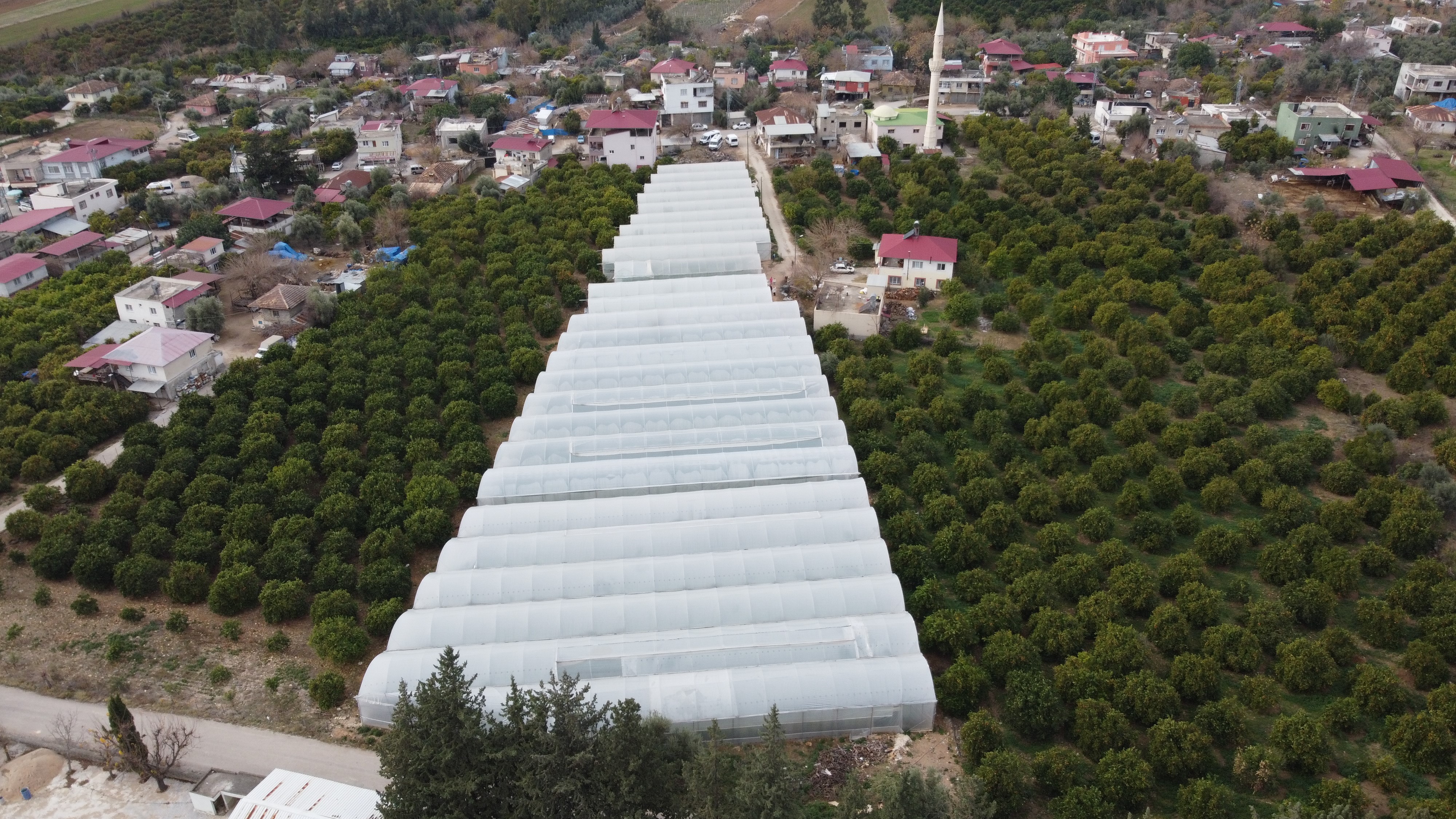 Adana'da mahallede 400 metrekareyle başlayan seracılık 30 dönüme ulaştı