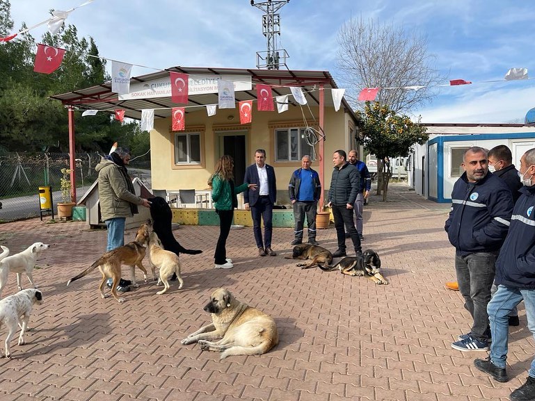 Çukurova Belediyesi’nden Sokak Hayvanlarına Özel Hizmet