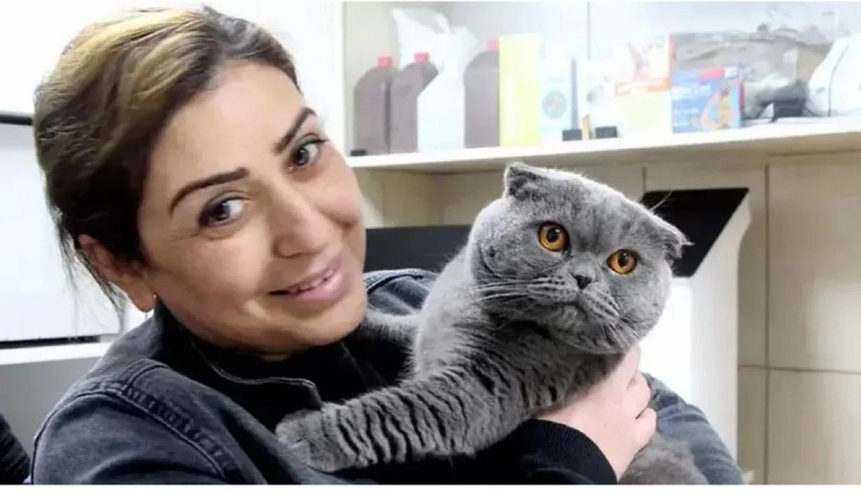 Adana'da, 6 milyonda 1 görülen çift cinsiyetli kedi ameliyat edildi