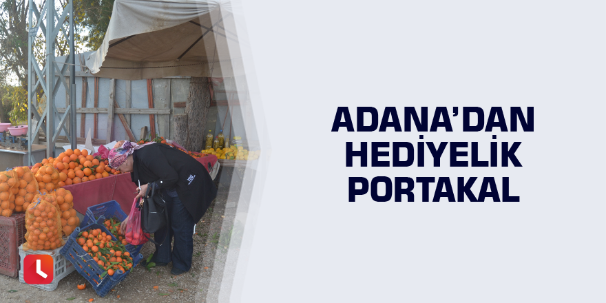 Adana’dan hediyelik portakal