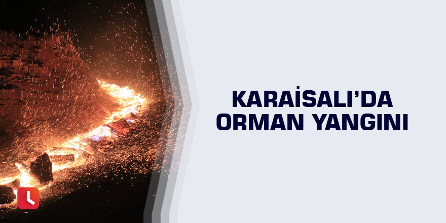 Adana’da orman yangını kontrol altına alındı