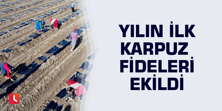 Yılın ilk karpuz fideleri ekildi