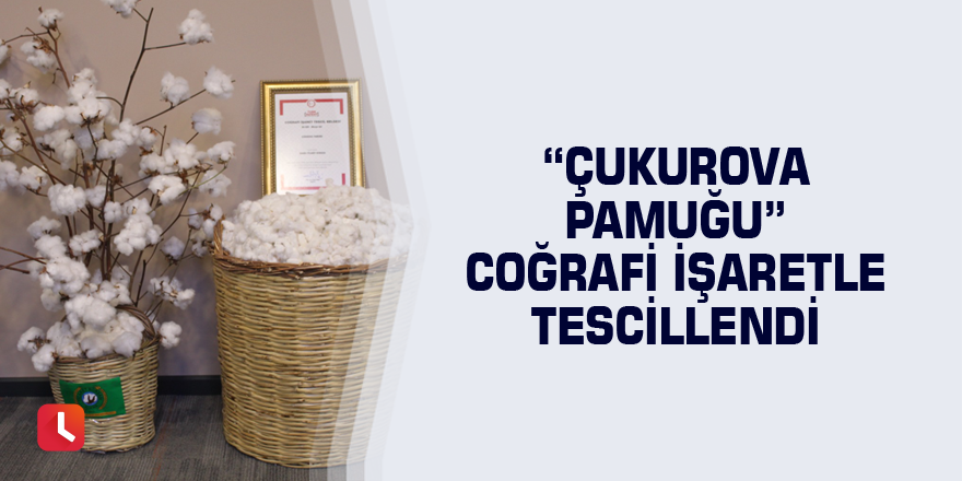 “Çukurova pamuğu"coğrafi işaretle tescillendi