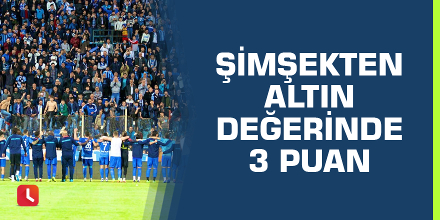 Adana Demirspor deplasmandan 3 puanla dönüyor