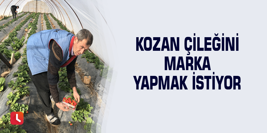 Kozan çileğini marka yapmak istiyor