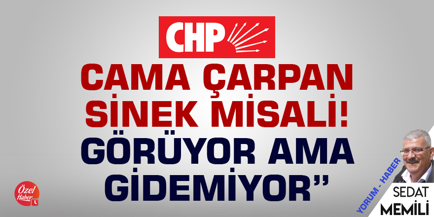 CHP, cama çarpan sinek misali! Görüyor ama gidemiyor