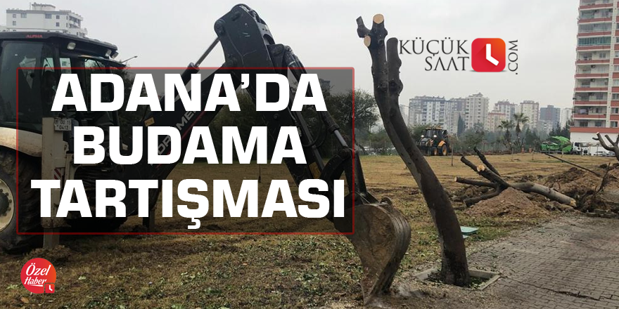 Adana’da budama tartışması