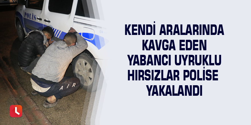 Kendi aralarında kavga eden yabancı uyruklu hırsızlar polise yakalandı