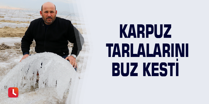 Karpuz tarlalarını buz kesti