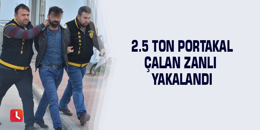 2.5 ton portakal çalan zanlı yakalandı