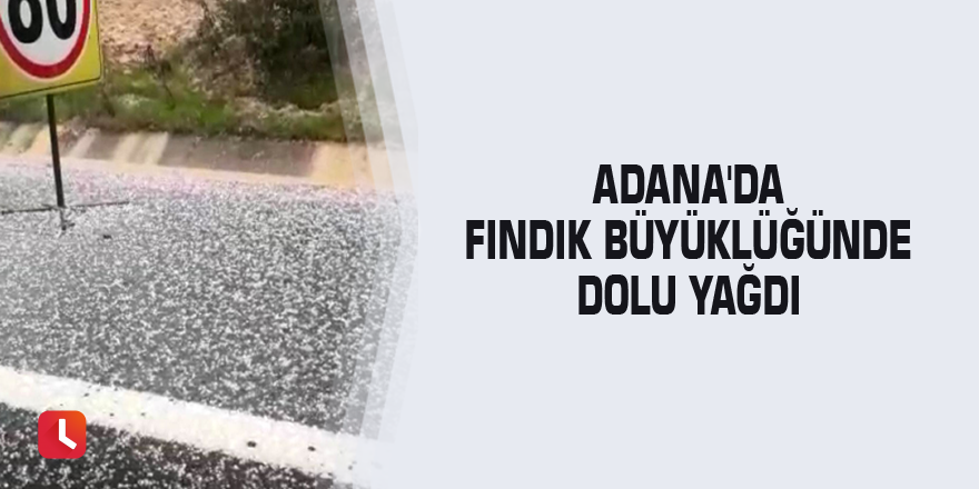 Adana'da fındık büyüklüğünde dolu yağdı