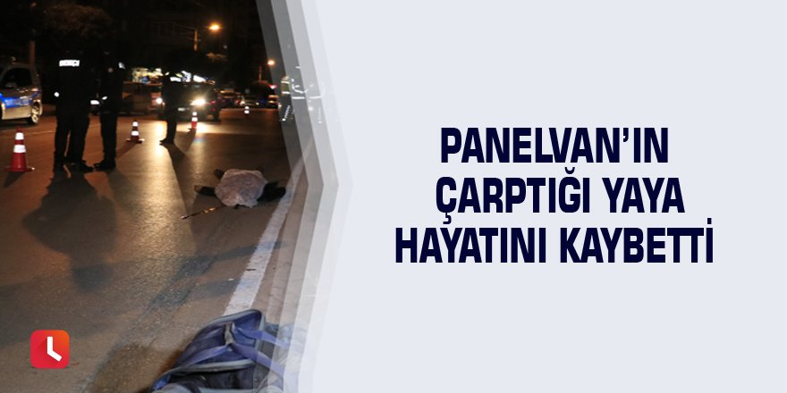 Panelvan’ın çarptığı yaya hayatını kaybetti