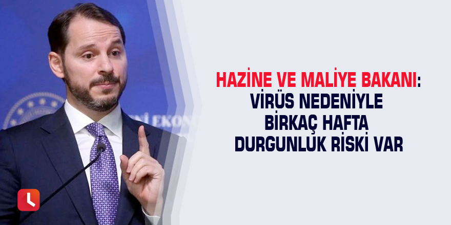 Hazine ve Maliye Bakanı: Virüs nedeniyle birkaç hafta durgunluk riski var