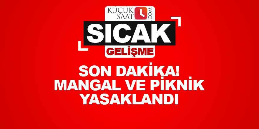 Son dakika! Mangal ve piknik yasaklandı