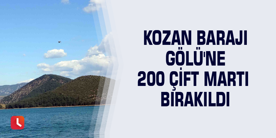 Kozan Barajı Gölü'ne 200 çift martı bırakıldı