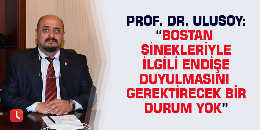 Prof. Dr. Ulusoy: “Bostan sinekleriyle ilgili endişe duyulmasını gerektirecek bir durum yok”