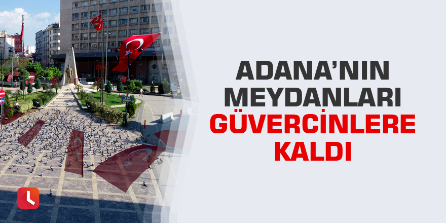 Adana’nın meydanları güvercinlere kaldı