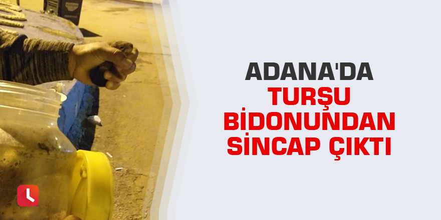 Turşu bidonundan sincap çıktı