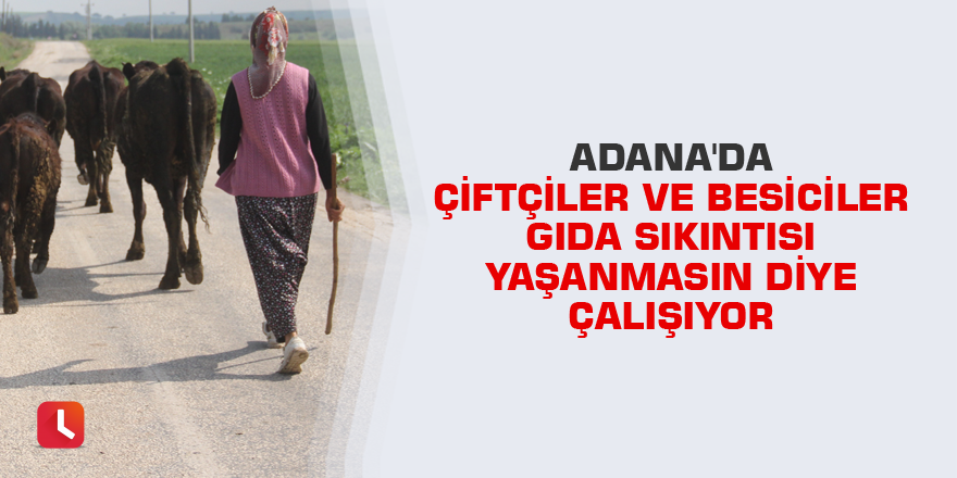 Çiftçiler ve besiciler gıda sıkıntısı yaşanmasın diye çalışıyor