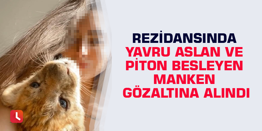 Rezidansında yavru aslan ve piton besleyen manken gözaltına alındı