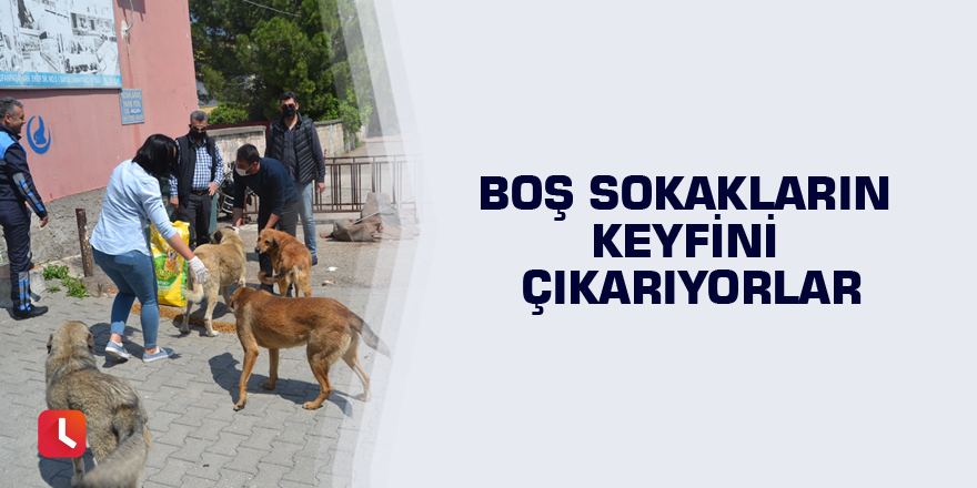 Boş sokakların keyfini çıkarıyorlar