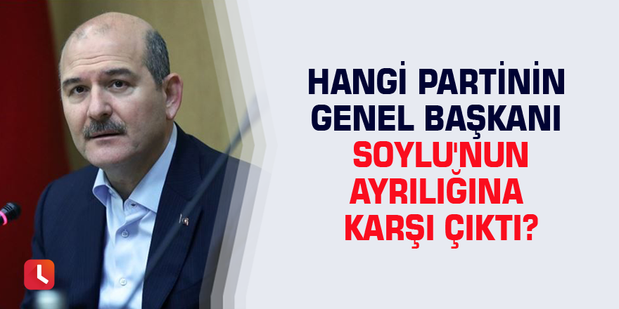 Hangi partinin genel başkanı Soylu'nun ayrılığına karşı çıktı?