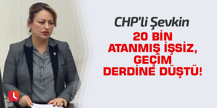 Şevkin: 20 bin atanmış işsiz, geçim derdine düştü!