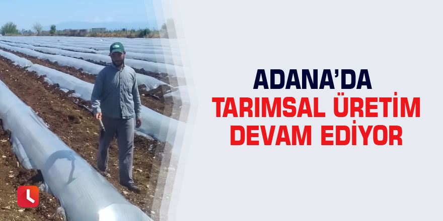 Adana’da tarımsal üretim devam ediyor