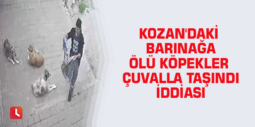 Kozan'daki barınağa ölü köpekler çuvalla taşındı iddiası