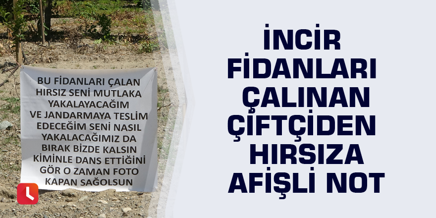 İncir fidanları çalınan çiftçiden hırsıza afişli not