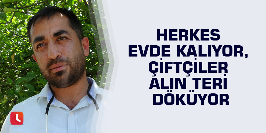 Herkes evde kalıyor, çiftçiler alın teri döküyor