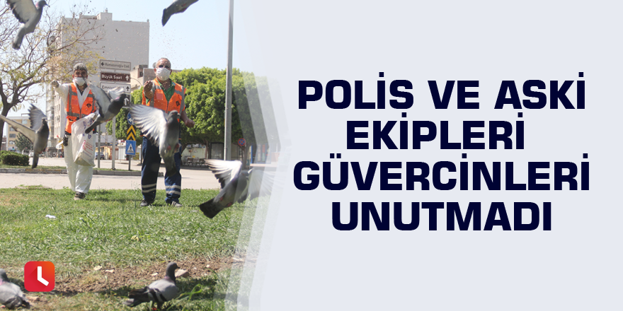 Polis ve ASKİ ekipleri güvercinleri unutmadı