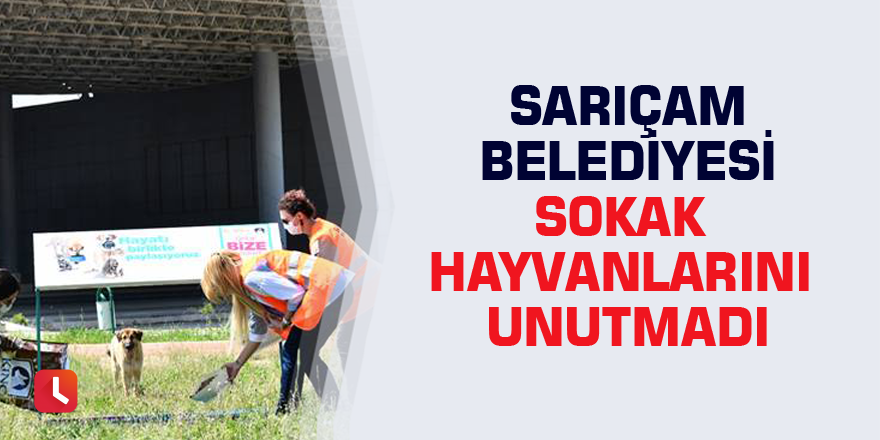 Sarıçam Belediyesi sokak hayvanlarını unutmadı