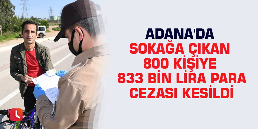 Adana'da sokağa çıkan 800 kişiye 833 bin lira para cezası kesildi