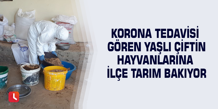 Korona tedavisi gören yaşlı çiftin hayvanlarına ilçe tarım bakıyor