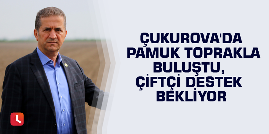 Çukurova'da pamuk toprakla buluştu, çiftçi destek bekliyor